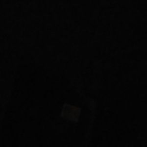 Meet your Posher, Domenic